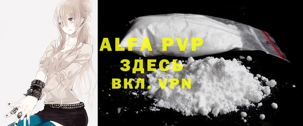 прущие грибы Абаза
