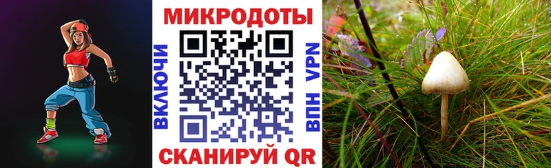 цена   Пучеж  Галлюциногенные грибы Magic Shrooms 